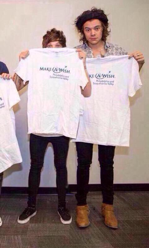 the member who is smallest compared to harry is louis