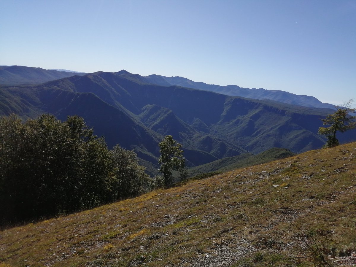 FPlacidini's tweet photo. #trekking @anienewildernes Mattinata 🔝🔝insieme al mio amico #Paolino #MonteAutore #m1855slm #FaggetaDelleGienziane 💪 https://t.co/SBm1itLMbG