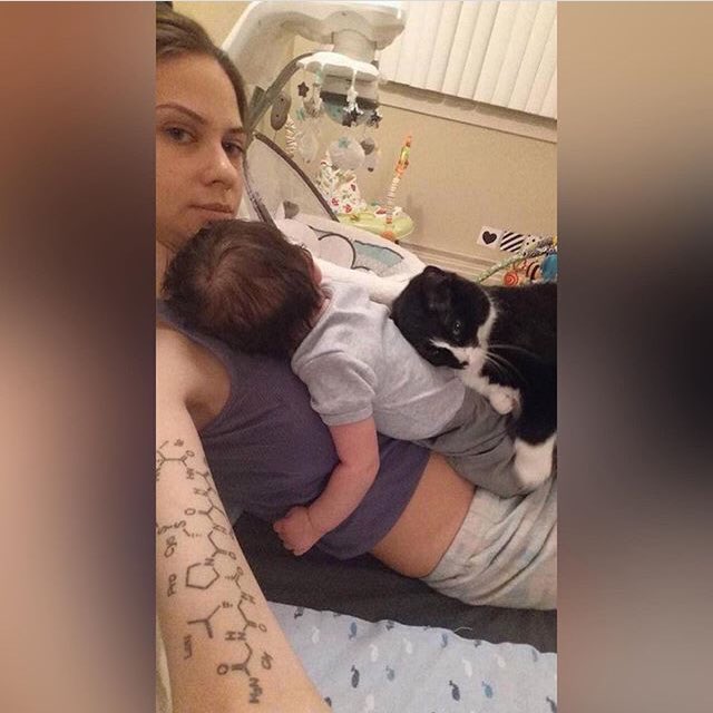 Kendimi bir şeylere dahil ettirmeye çalışırken