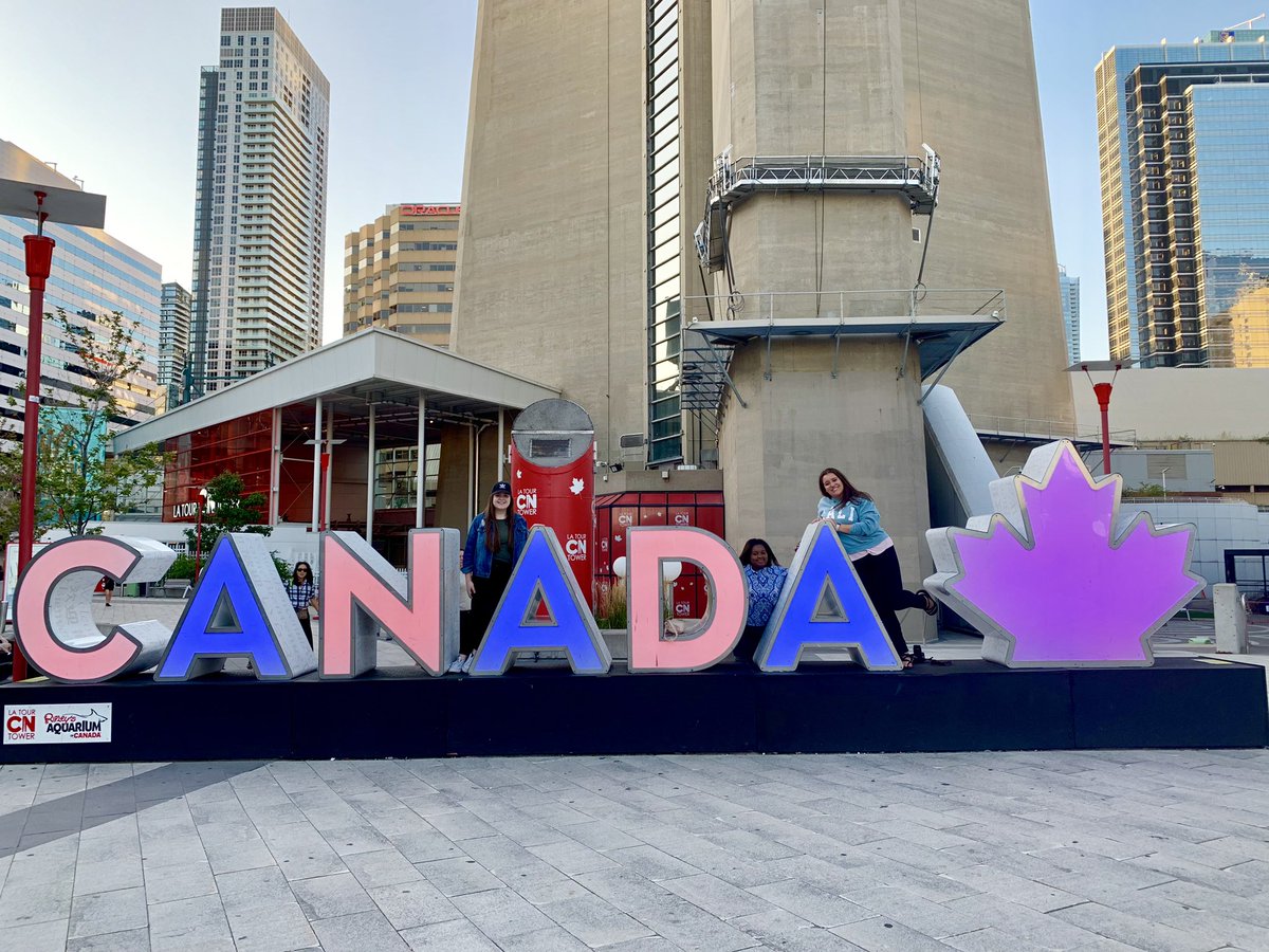 Bgrad22's tweet image. A year ago today nearly all of Stan Twitter were in Toronto for Shawn’s Roger’s Stadium show. Let that sink in 🤧 miss it