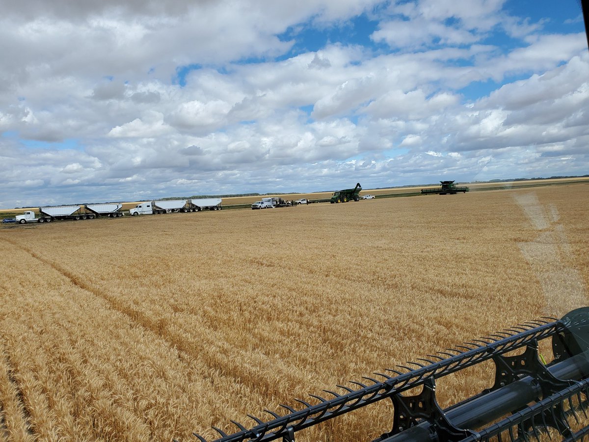 See ya later l'il fella!  You've come a long way for a rotary. I was even a little impressed! Thanks to <a href="/PattisonAg/">Pattison Agriculture</a> <a href="/JohnDeere/">John Deere USA</a>.  Burgers were well done, very well!  Lol