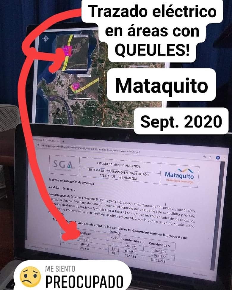 Un nuevo proyecto, esta vez eléctrico, se situa en áreas con queules, pitaos, naranjillos y otras especies de flora y fauna con problemas de conservación. Sin duda hay mucho que decir!