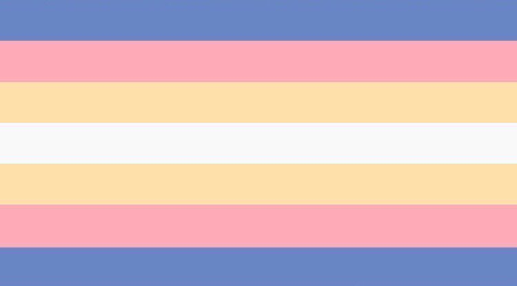 he/they (left) and she/they (right) bi flags!