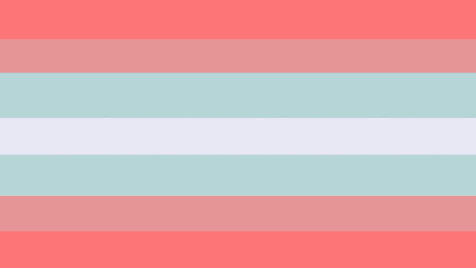 they/she/he bi flag!!