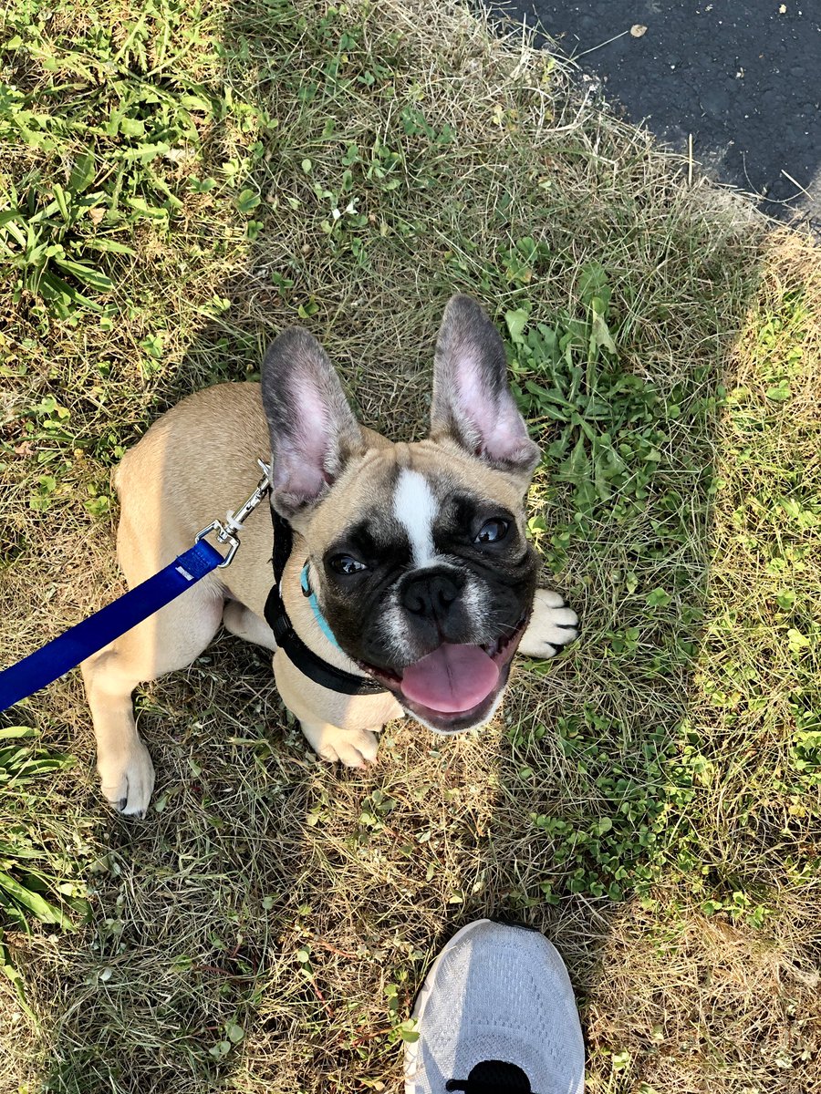 Danielle L'Argent tweet media