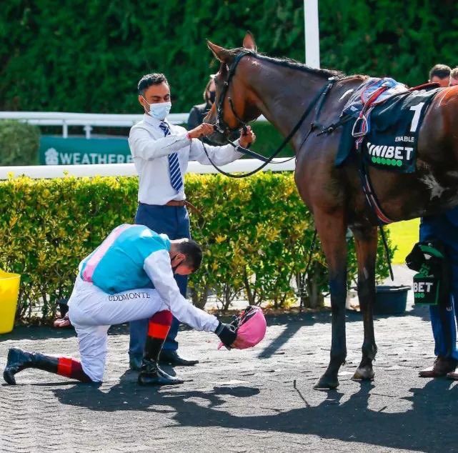 FrankieDettori's tweet photo. The Queen of racing, Enable!👑 https://t.co/nrkqbd2wGL