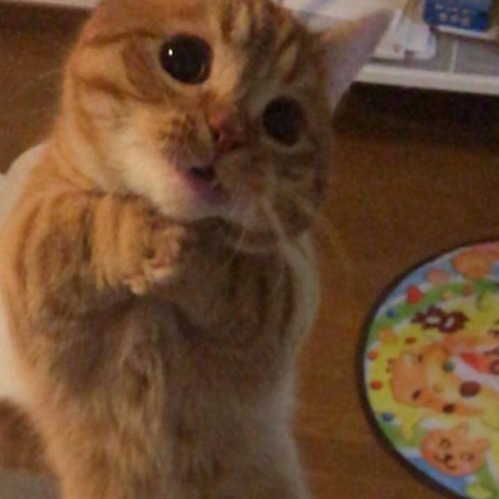 ไหว้พระเถอะลูก ┊͙🏄🏻‍♀️🦋🌷🎀🚰♡̶