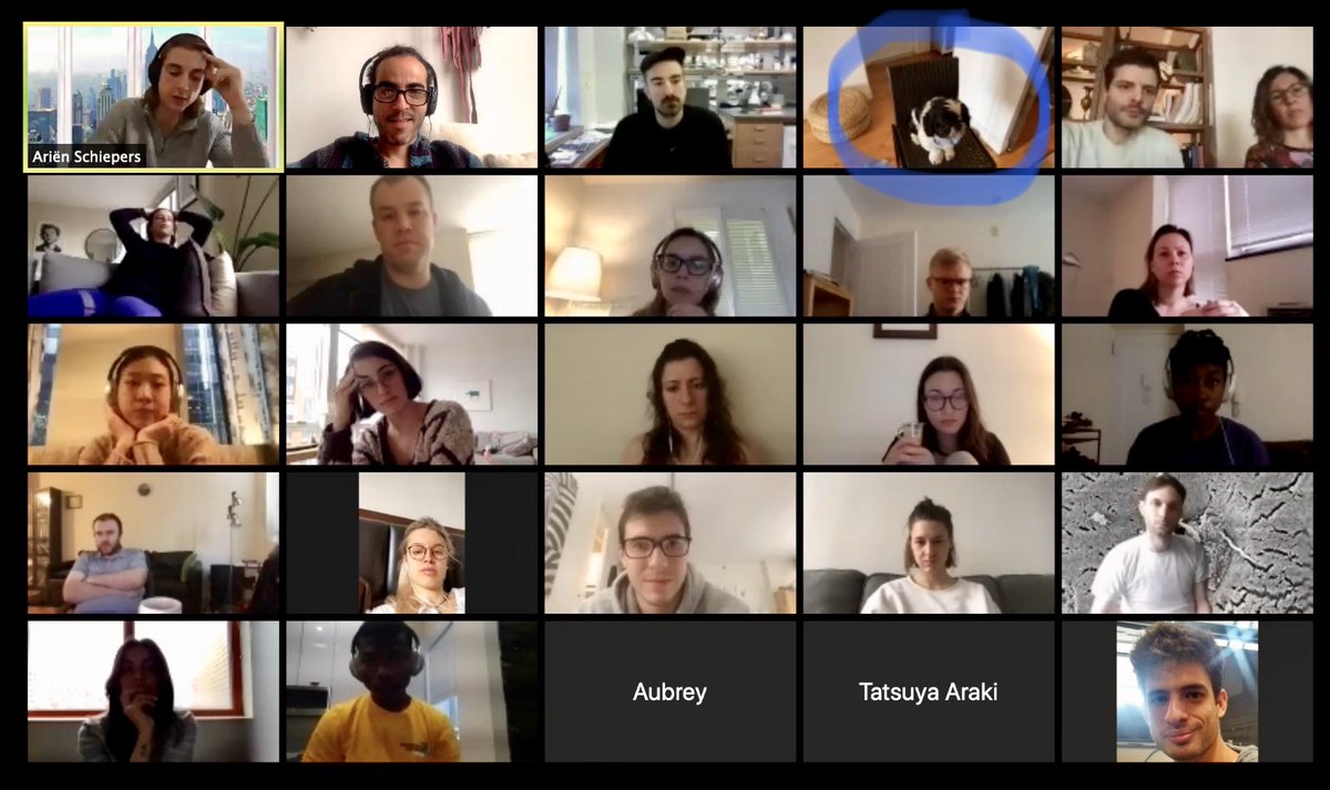 2018-todayLab transition completedMore transitions coming, scientific, location, political COVID19 strikes badly NYC, changes our meeting style, but are  #NYStrong