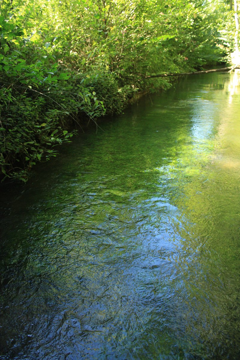 hub_observateur tweet media