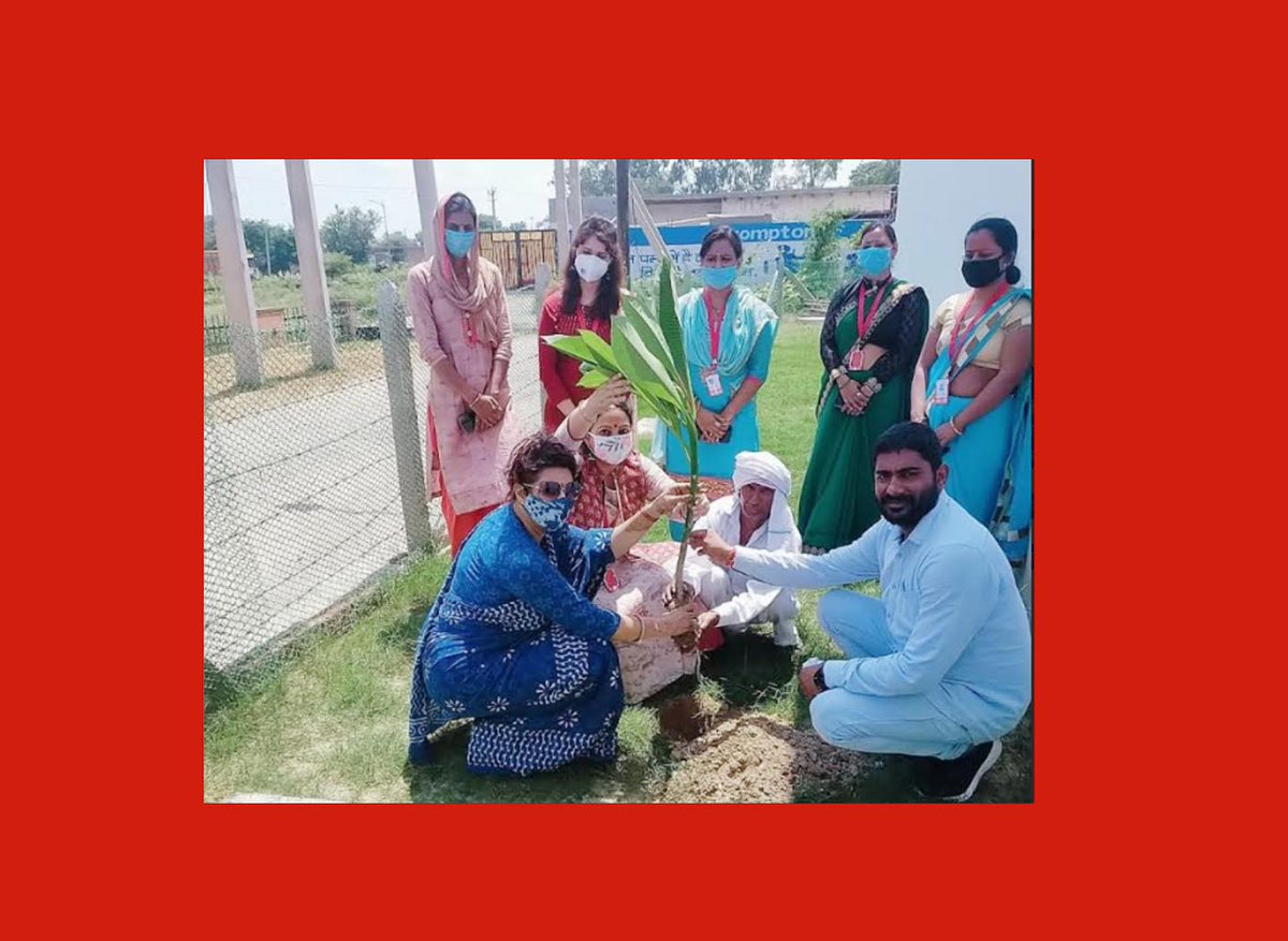 mukhideepak12's tweet photo. सांसे मुहिम द्वारा शिक्षक दिवस पर महिला आयोग की सदस्य रेनू भाटिया के द्वारा कराया गया पौधरोपण
https://t.co/fbBQ693KBH https://t.co/9oFkDeDyLJ