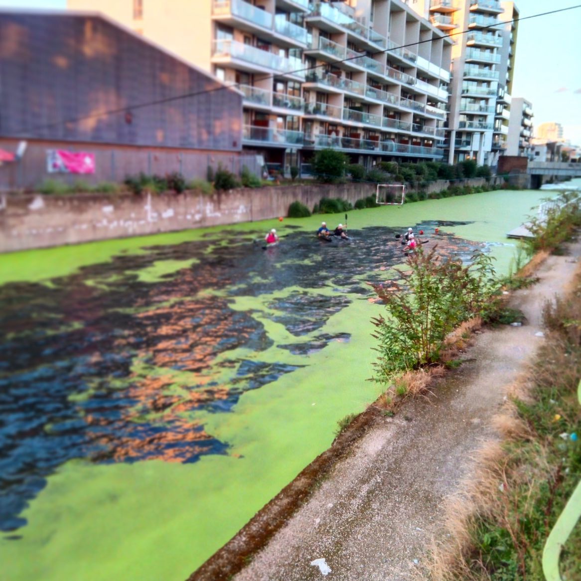 Green and pink (with extra green).

#canoepolo #kayakpolo