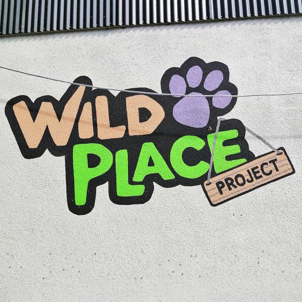 BenVealWrites's tweet photo. Wonderful return to @wild_place today! So many incredible animals to see and the new bear trail is a truly smashing addition. #wildplaceproject #conservation https://t.co/E38Tsv2itJ