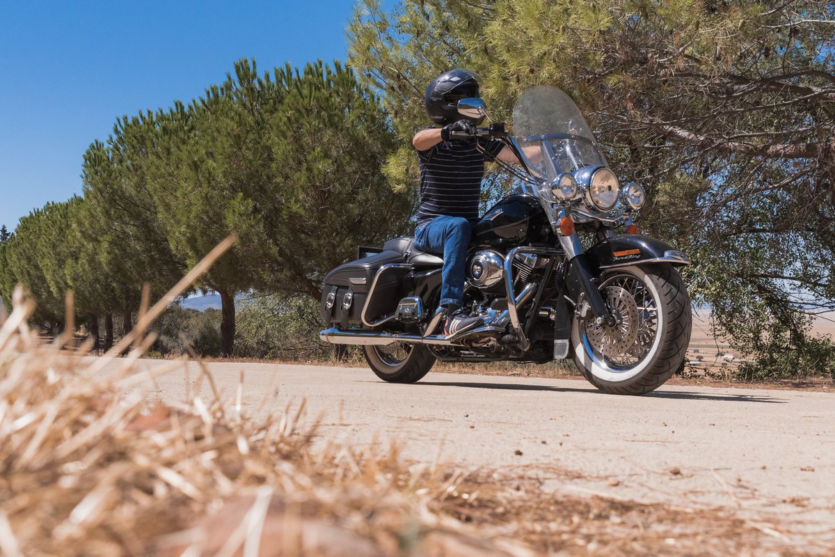 Zarza Capilla #HarleyDavidson