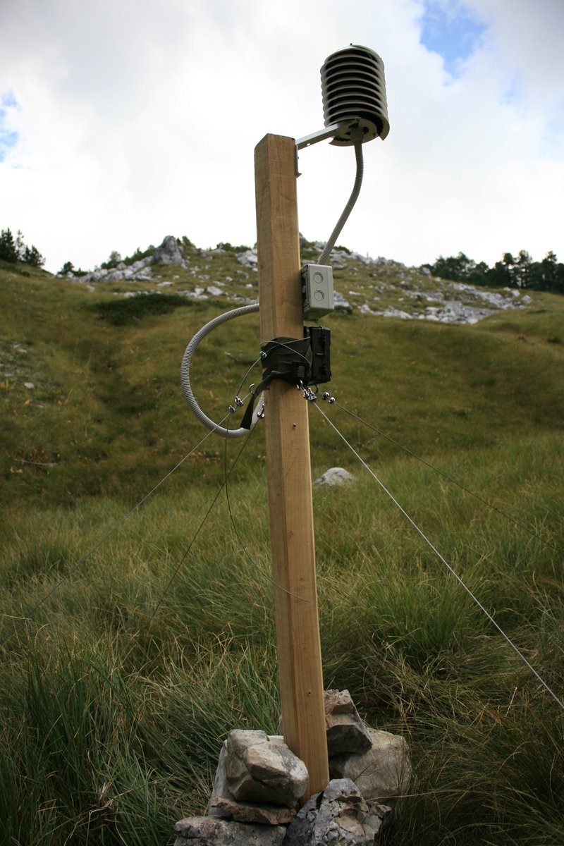 PCikovac's tweet photo. Temperature loggers were installed in the Opuvani do cold-air pool on Mt #Orjen in #Montenegro. A #Mediterranean #biodiversity hotsport with a #microrefugia for cold adapted species in this particular sink at 1580 m a.s.l. https://t.co/xewdAJx9Cd