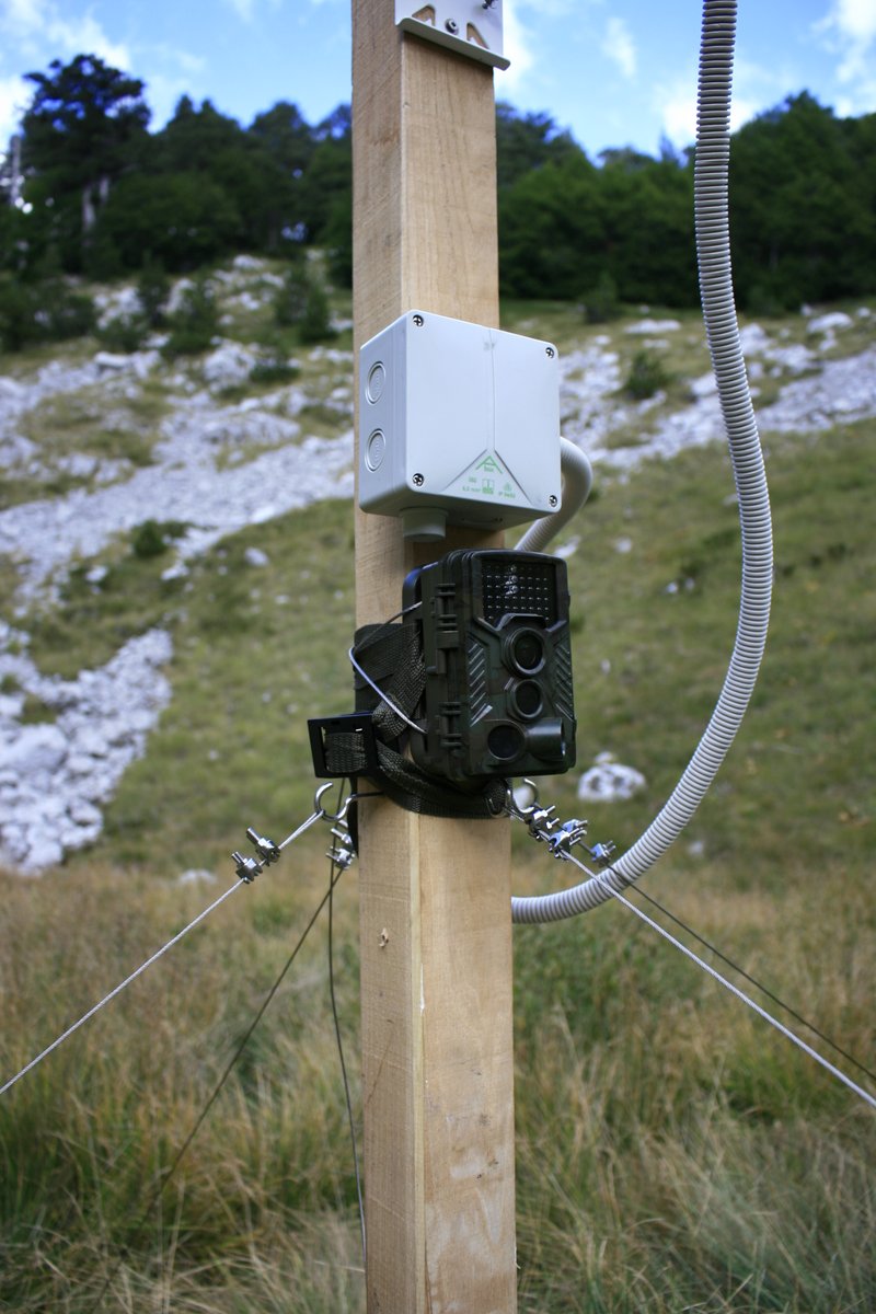 PCikovac's tweet photo. Temperature loggers were installed in the Opuvani do cold-air pool on Mt #Orjen in #Montenegro. A #Mediterranean #biodiversity hotsport with a #microrefugia for cold adapted species in this particular sink at 1580 m a.s.l. https://t.co/xewdAJx9Cd