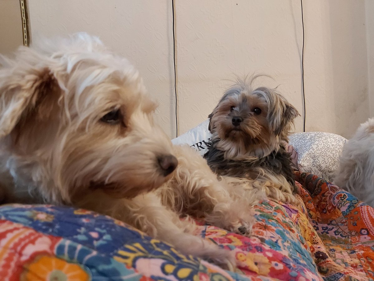 Yoshi23052039's tweet photo. I love my Betty 💕 https://t.co/zOF5JBPSNE