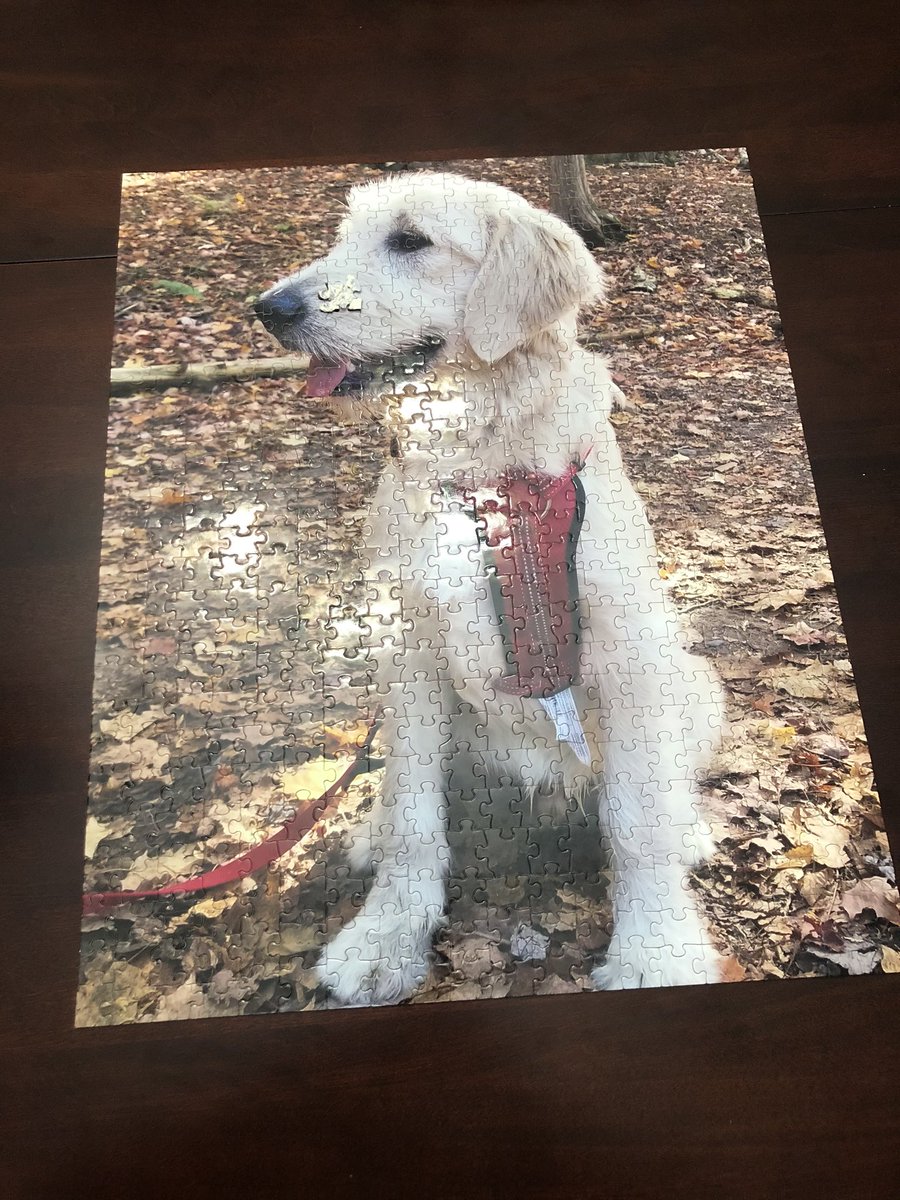 frankend00d's tweet photo. You can’t even tell I ate a piece. It’s not like it’s missing a piece. I gave it back 🙄 #puzzles #ieatanything #thatsahandsomeguyinthatpic #dogsoftwitter https://t.co/B9k8irRU2U
