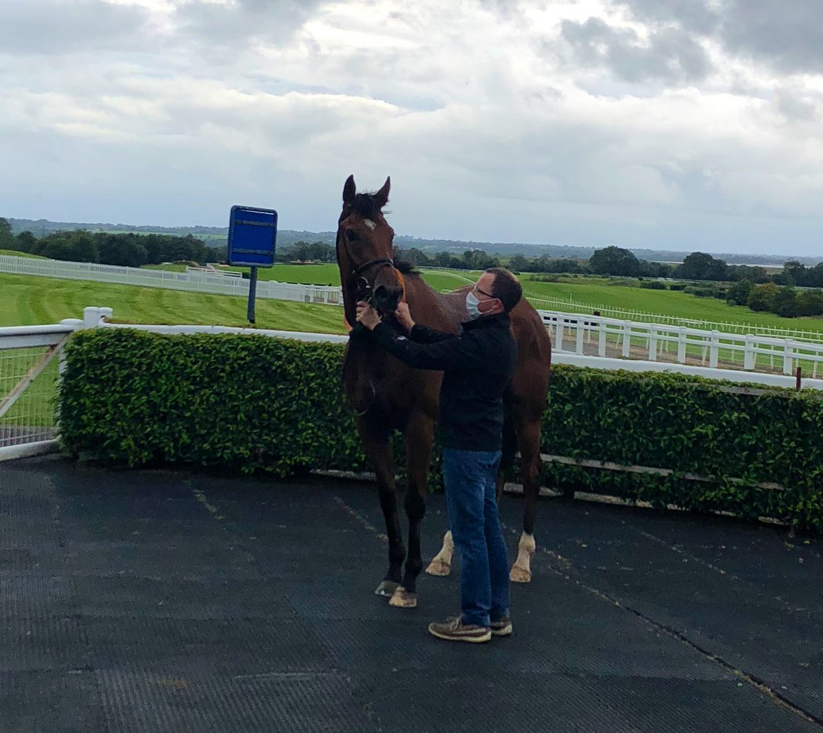NavanRacecourse's tweet photo. ROBIN DES SHEIKH the winner of the last race the @IrishEBF_ Supporting @IrishChampsWknd Maiden for Paul Flynn under @lukemcateer123 👏 https://t.co/LVqPHSBPrR
