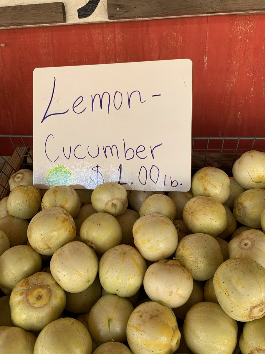 Veggielution's tweet photo. SUPER ROMA TOMATO SALE! 

Come out to the farm stand today from 10am to 2pm to pick up some of these salsa perfect tomatoes for your holiday weekend! 

#SanJose #EmmaPrusch https://t.co/tg1xDsCfeR