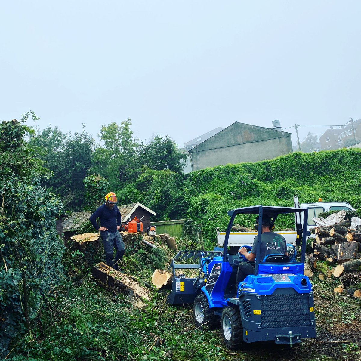 CHTreeSurgery1 tweet picture