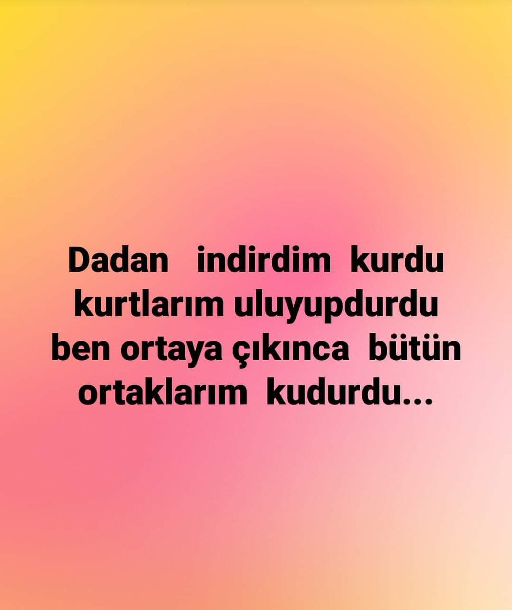 DiDEM39546759's tweet photo. https://t.co/MqjYD9r6K0