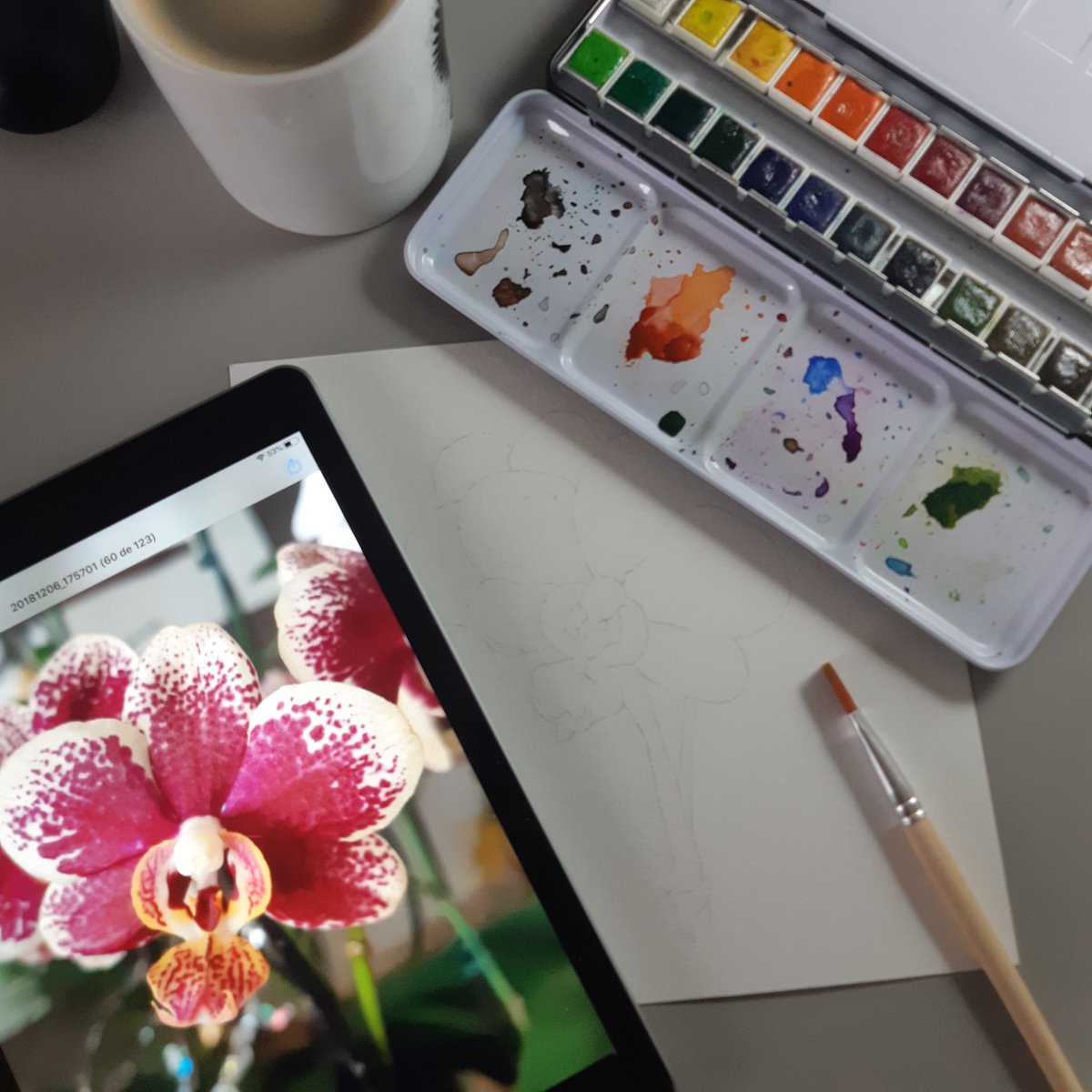 graffmarcio's tweet photo. Logo mais tem LIVE no Youtube! Tutorial de pintura de orquídea com aquarela! 
https://t.co/7AjJBrdWz6 https://t.co/cBXfoH3ckK