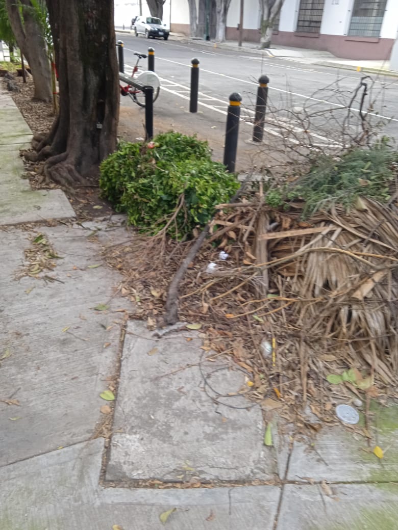 Ayuda con este Basurero Clandestino en Georgia y Carolina Amo Nápoles <a href="/STaboadaMx/">Santiago Taboada</a>  <a href="/MariPorcayo/">Mari Carmen Porcayo🐊🐊</a>  <a href="/AccionesBJ/">Acciones BJ</a>  <a href="/betotok/">Alberto Islas Labastida</a>  <a href="/BJAlcaldia/">Alcaldía de Benito Juárez</a>  <a href="/LaNapolesCdMx/">La Nápoles CdMx</a>  @comejen2  <a href="/mauriciotabe/">Mauricio Tabe Echartea</a> <a href="/Claudiashein/">Claudia Sheinbaum Pardo</a>  <a href="/AnaMaria2177/">Ana María</a> <a href="/MariloliFuster/">Maria Dolores Fuster</a>  <a href="/IsaacAngles/">Isaac Angles</a>  <a href="/AbelardoLAngles/">Abelardo L Angles Ch</a>