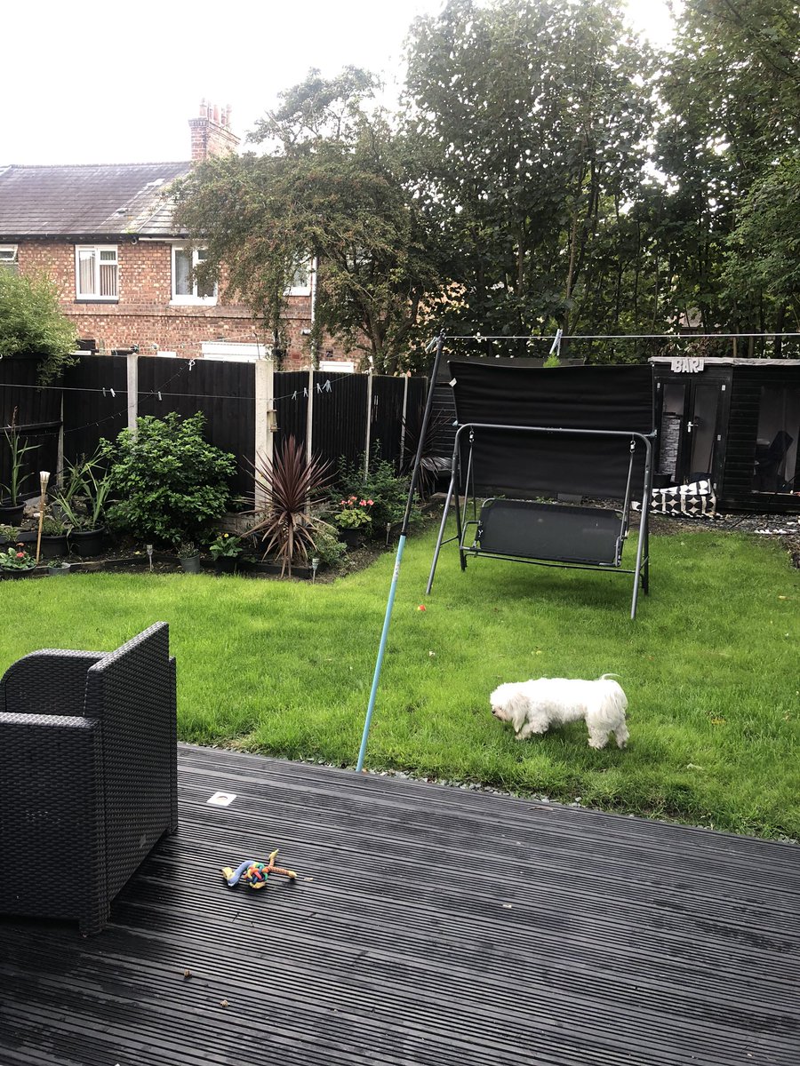 BethLuxton21's tweet photo. Pretty chuffed with our little garden transformation! We grew a new lawn during lockdown😜 https://t.co/2ShqbqaEFk