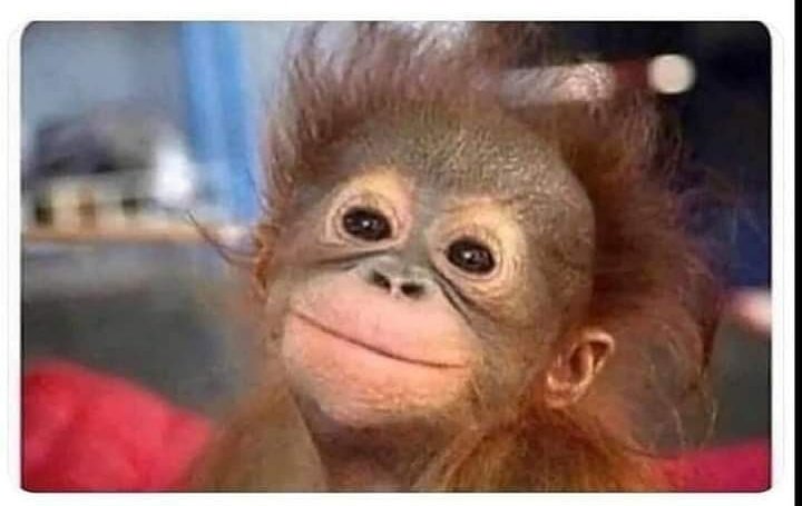 TeacherGoals tweet media