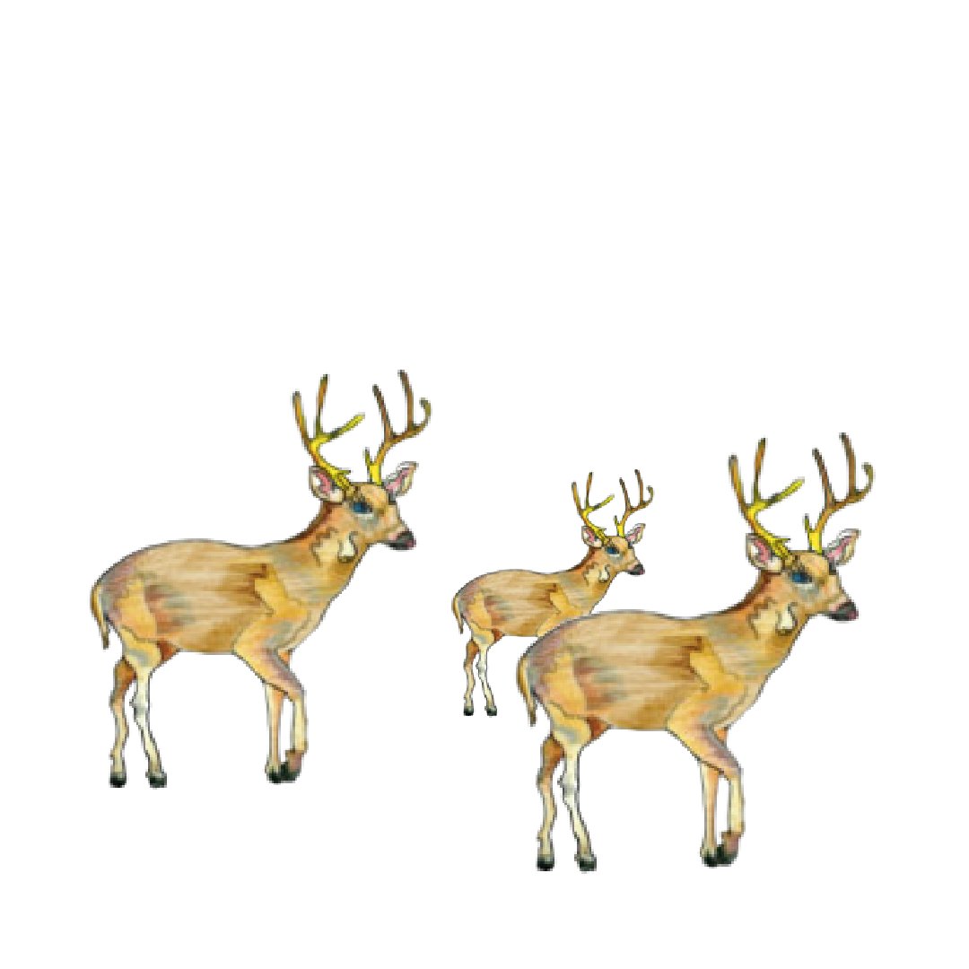 DID YOU KNOW: A deer can jump up to 10 feet. That’s some serious height! #stationery #notecards #deer #deerfacts