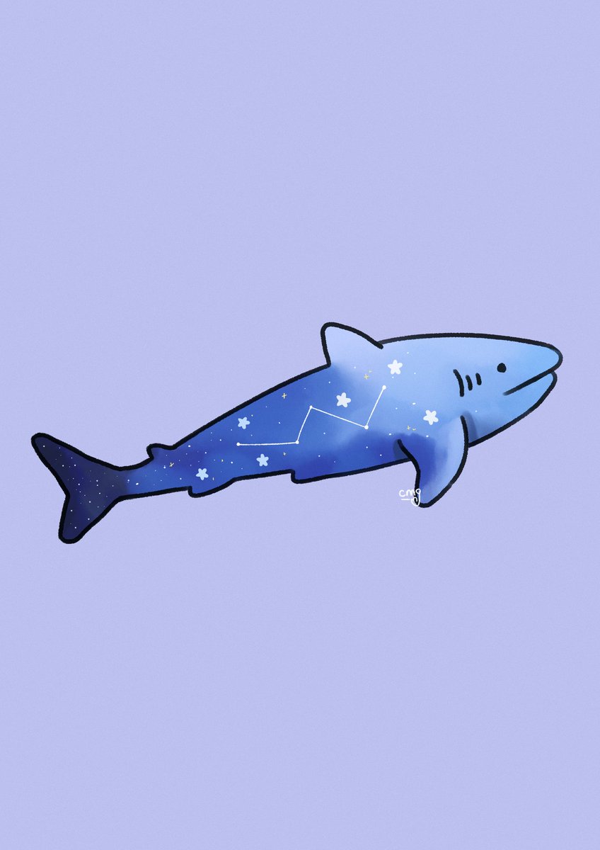 ✨ whale and shark ✨