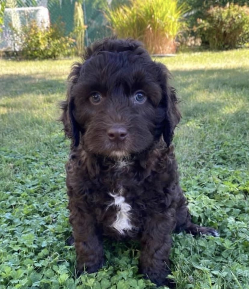 jcamp1968's tweet photo. The latest edition to the Campbell /Coles clan! https://t.co/NGsa7fmdXc