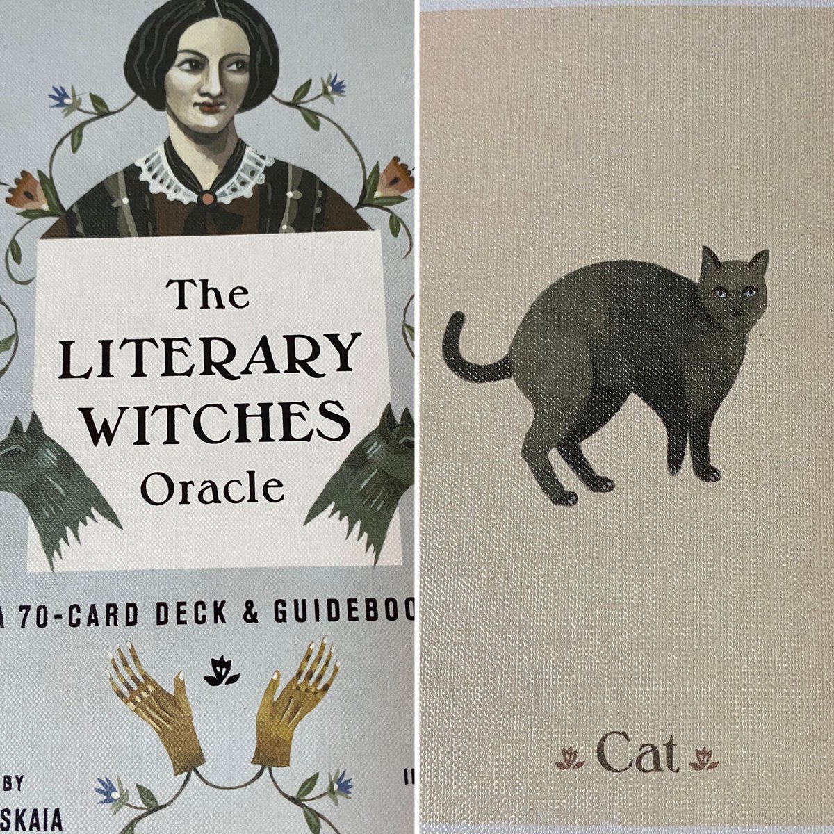 novicenovelist's tweet photo. Unmotivated, struggling, I turn to oracle cards for 1st time - specifically, the wonderful Literary Witches deck. Dear cards, how can I get through this creative quagmire &amp; do #3DN properly. “Cat” it tells me: self-ownership. Ugh. Stop pissing around &amp; JFDI already. 

 #3daynovel https://t.co/Eg8GrOv5hs