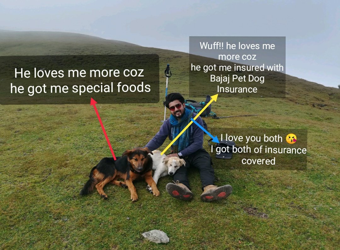 prashantDocean's tweet photo. @BajajAllianz A dog is the only thing on earth that loves you more than you love yourself.
I love you both 🐕 😘 🐕
#PetDogInsurance #CaringlyPaws 
#WinAway @BajajAllianz 
Tag @tweettovikki @DrSujit_IITB 
@diva_tulipss https://t.co/hrCvKcg0f0