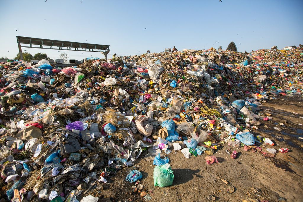 Rust Belt Riders tweet media