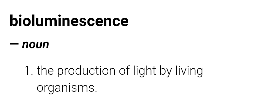 KarenNeverland's tweet photo. Bioluminescence ☀️ https://t.co/e5OGeV7o7u