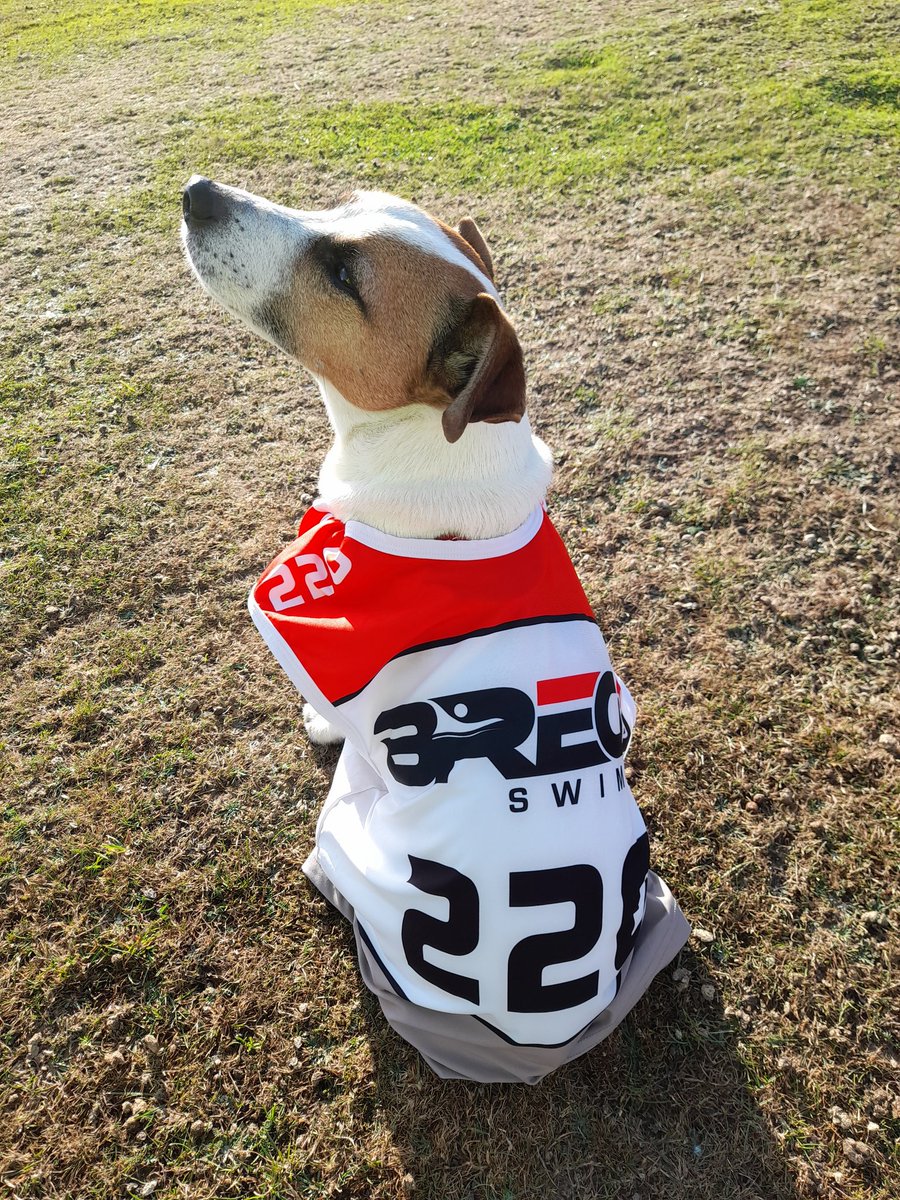 jjgallagher3's tweet photo. Did we win? Yes we all won today. Thank you @3DEvents_ @BrecaSwimrun @VisitJerseyCI Brilliant for mind and soul, beautiful Jersey, brilliant event & brilliant people. #Breca #Jersey #IslandLife #dogadventures #bestfriends #3DEvents https://t.co/RIF8veTKZx