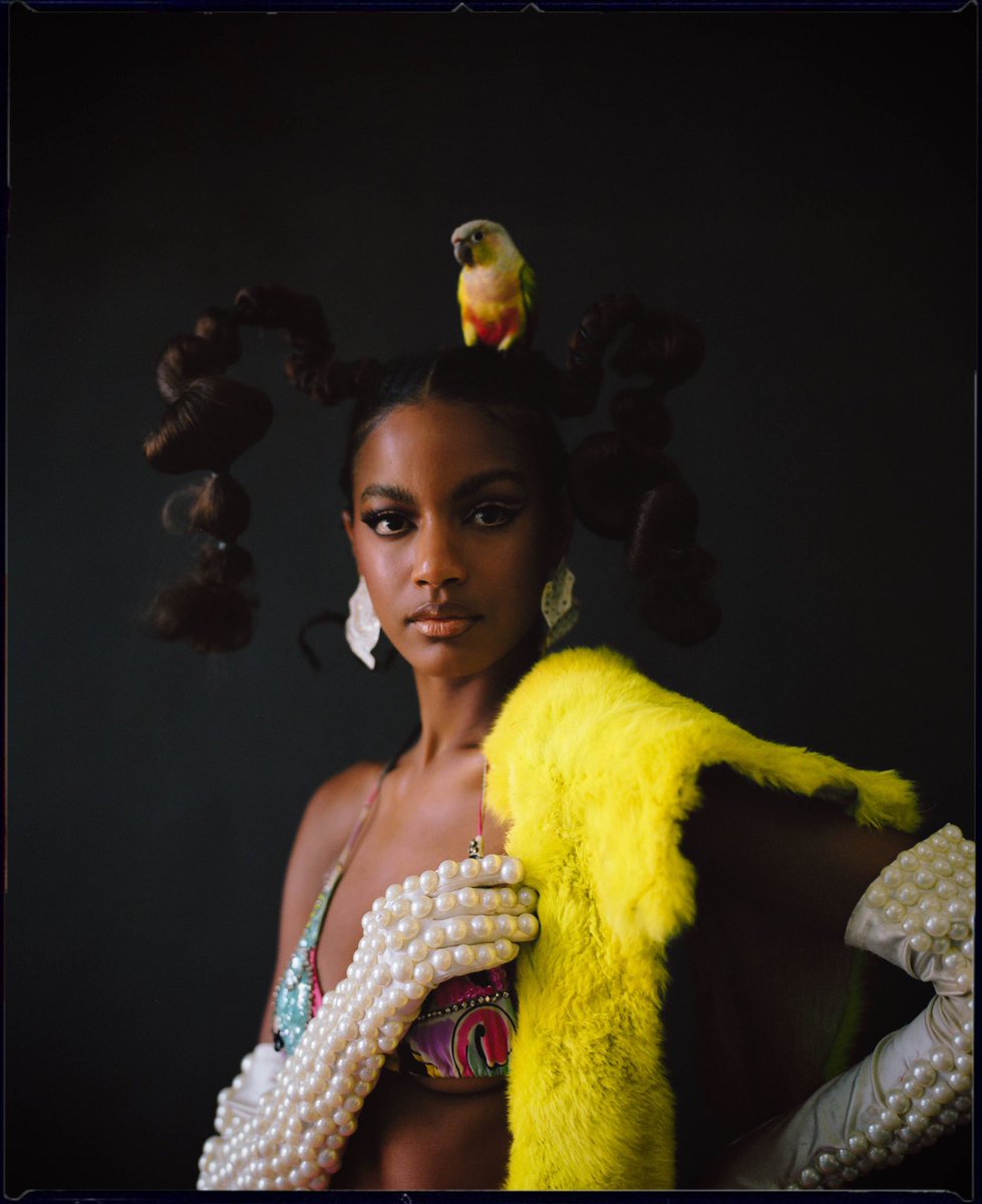CHRYS4LIS_'s tweet photo. I’m really proud to share these photographs I captured of Ebonee Davis styled by Damaris with hair by Fesa Nu and face by Alana Schober 
🧚🏾‍♀️💞🦋 https://t.co/6D5utK6L6o