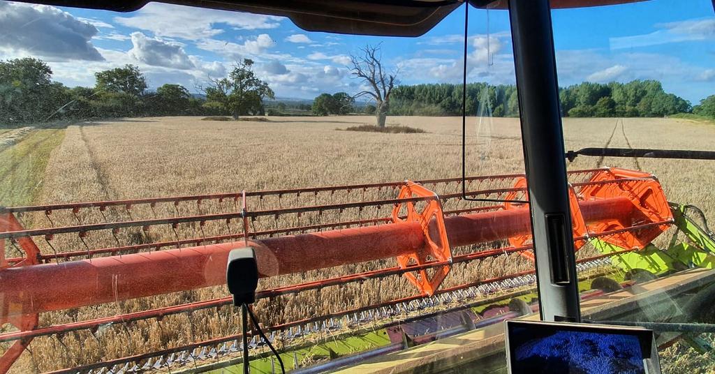 Beautiful afternoon for neighbours spring Barley. How's your afternoon going?
#combine #combineharvester #claas #claaslexion #farming #farminguk #agriculture #harvest #harvest2020 #saturdayvibes #saturdaymotivation #satisfying #fellowfarmer #Herefordshire
instagram.com/p/CEw3DFsnViq/…