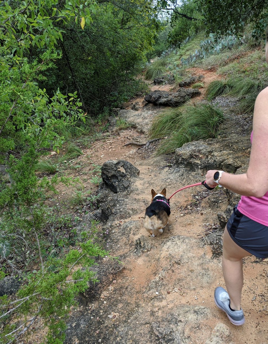 Collar Bone surgery for <a href="/mrswhite_knight/">Ash Lesniewski</a> means no riding for a bit, but we can take the corgi hiking.