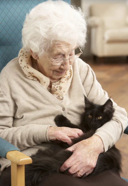 Our elders deserve to be treated with compassion and respect. If you believe you have a case of elder abuse or neglect on your hands, don't hesitate to reach out for justice today. Your consultation will always be free. (816) 608-6233https://sullivantrial.com/