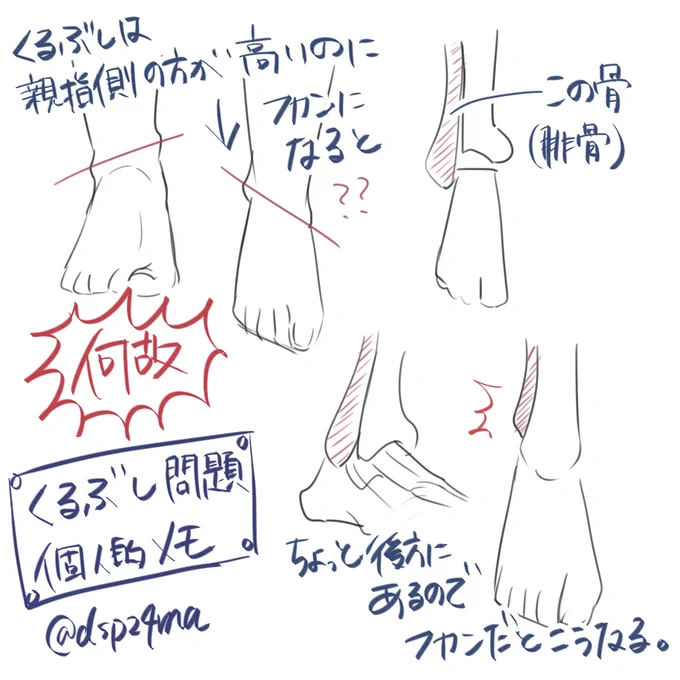 くるぶしは親指側の方が高い位置にあるのに、俯瞰になると小指側の方が高い位置にあるように見えるのは何故なのか問題が解決しました。 