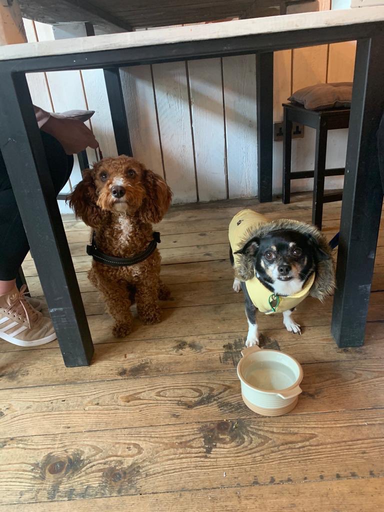 Making new friends at #intothewoods #chorlton #manchester 🐶 💓