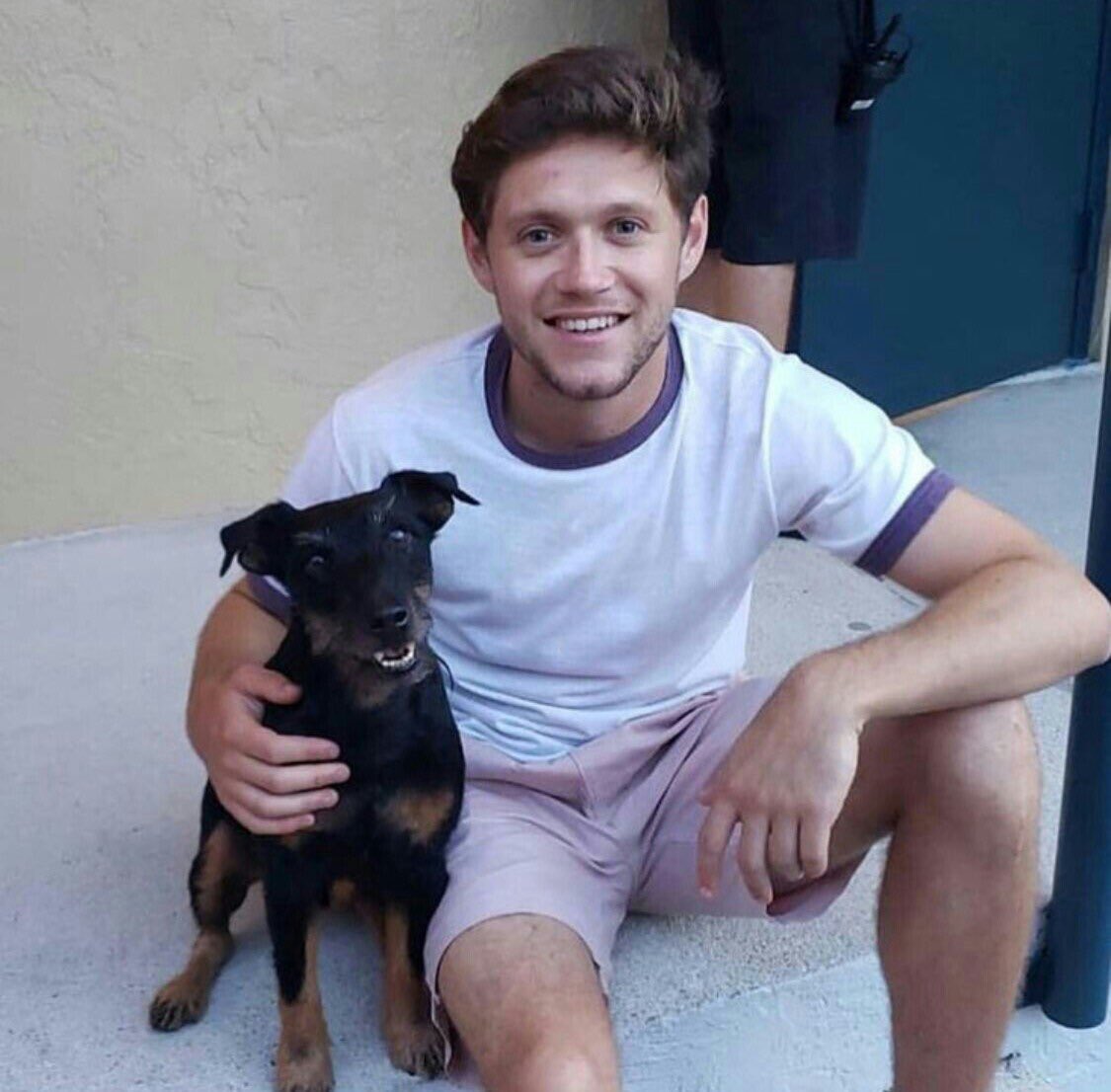 🐶