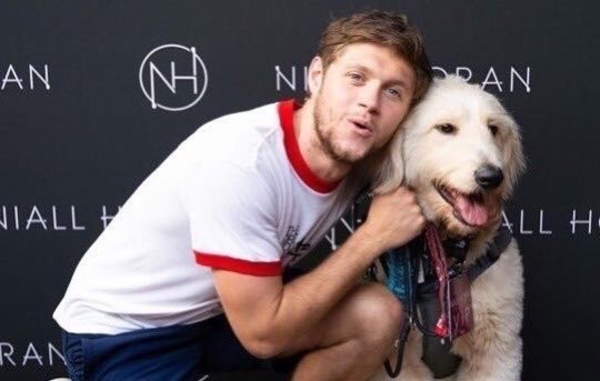 🐶