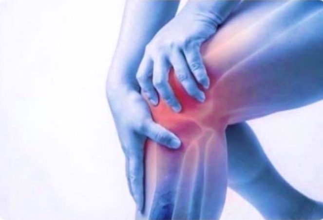 cassidoo's tweet photo. My knees after carrying all of these perfect technical opinions https://t.co/Bd0c00sQkE