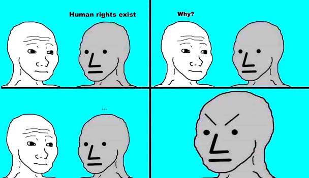nicholasnilsson's tweet photo. #npc #npcmemes #memes2020 #HumanRights https://t.co/QdaUNORCz1