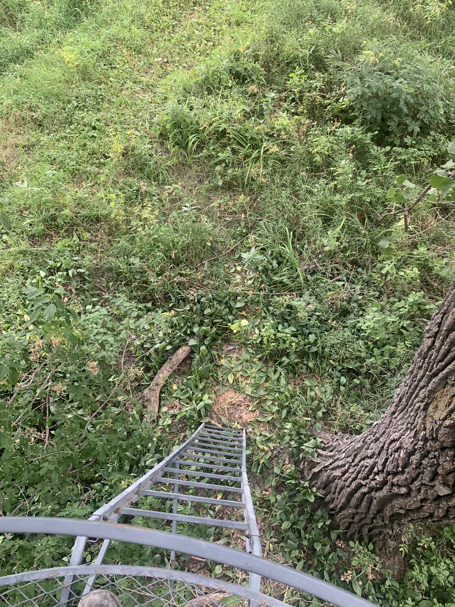 JeremyPollestad's tweet photo. My second favorite spot behind the lake. #gasbowstrings #hoyt #liberalhunter #velvetbuck https://t.co/XjyeehVvdi