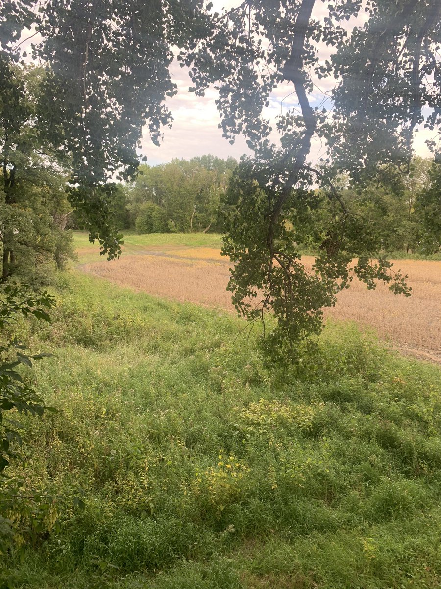 JeremyPollestad's tweet photo. My second favorite spot behind the lake. #gasbowstrings #hoyt #liberalhunter #velvetbuck https://t.co/XjyeehVvdi