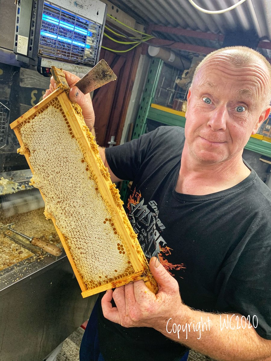 Hedgerow_honey's tweet photo. First honey crop from our 3 oaks apiary at Soulton Hall . Beefarmer Johns pleased and it tastes yummy 😋
#soultonlongbarrow #soultonhall #timashton #beespollinate #beefarmerjohn #honey2020 #workingwithnature #workingwithfarmers #localbusiness https://t.co/s4bvXhtVT1
